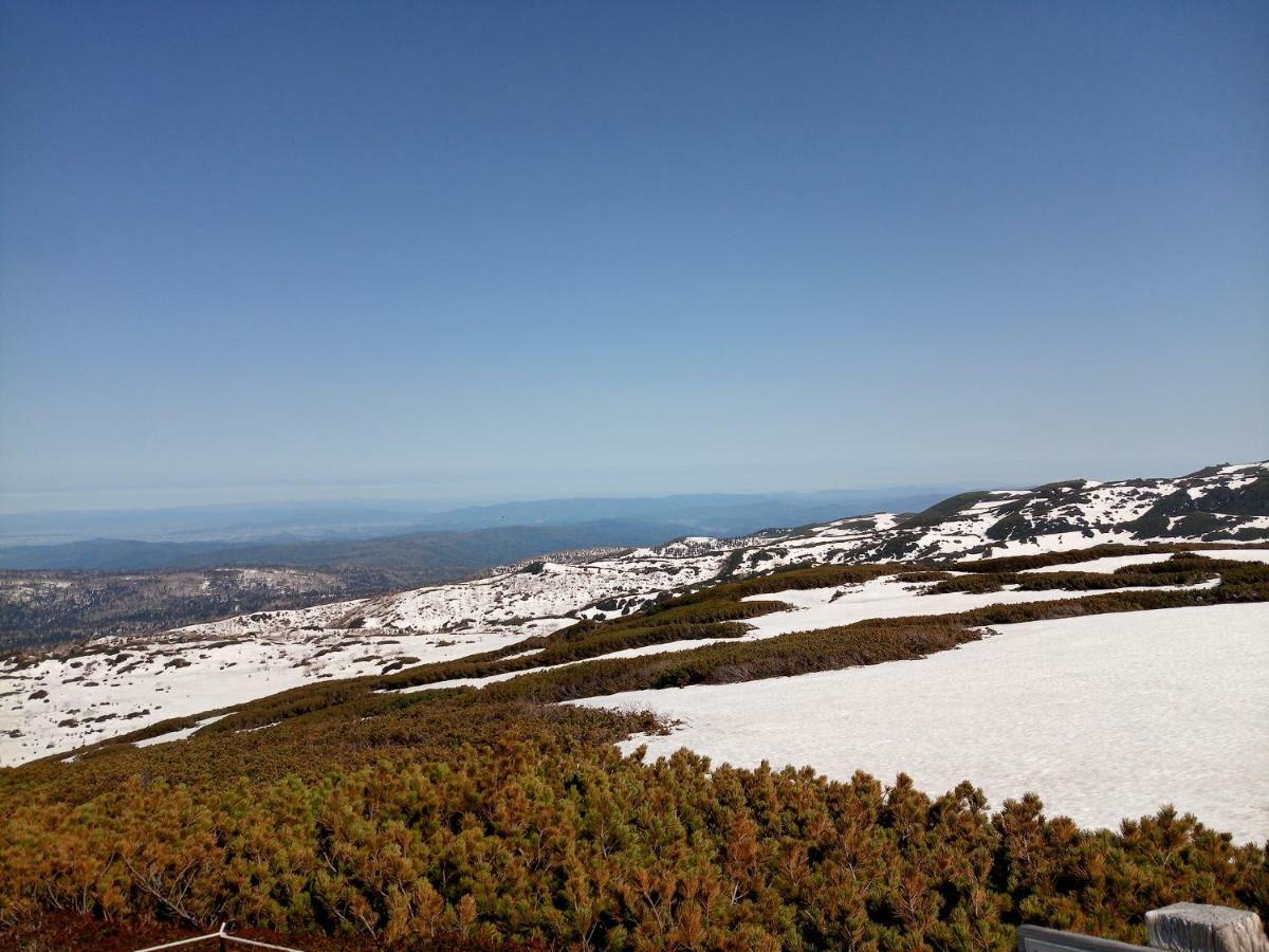 K'S House Hokkaido - Asahidake Onsen Hostel Higashikawa Екстериор снимка